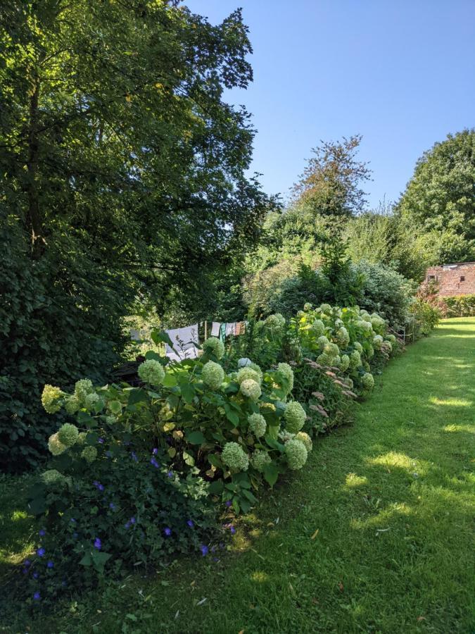 Bed and Breakfast La Grange De Dourlers Zewnętrze zdjęcie